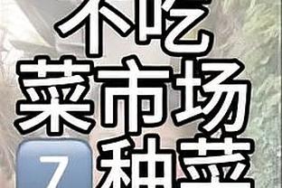 主场落败大比分0-3陷入绝境☀️太阳本场谁该背锅？教练？3巨头？